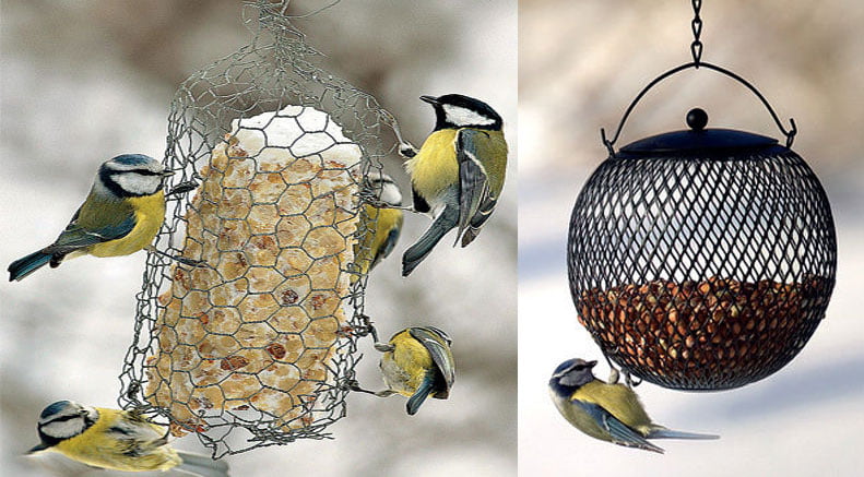 Lintujen talviruokinta auttaa lintuja selviämään hengissä kevääseen.