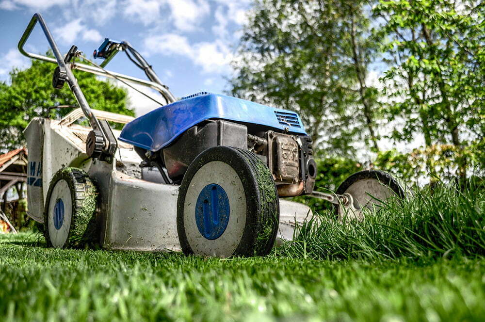 Leikkaa nurmikko säännöllisesti ja hyödynnä leikkuujäte