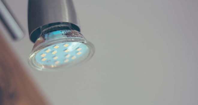 Kasvien LED-valot – parhaat veitsenteroittimet