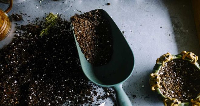 Vaihda huonekasvien mullat – herätä komposti talviunilta