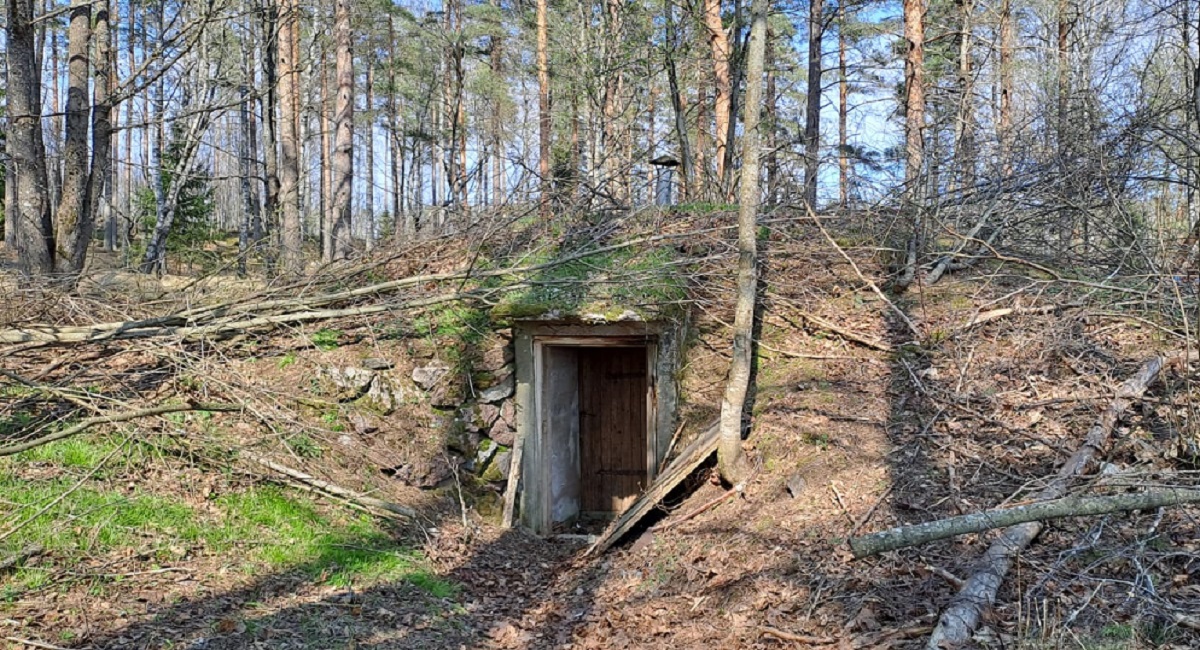 Maakellari on rakennettu metsän reunaan, eikä sitä ole edes helppo huomata.