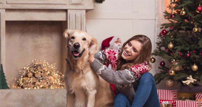 Koko perheen joulu – muistithan nämä koiralle vaaralliset jouluherkut
