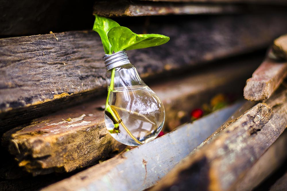 Lamppujen kierrätys on ekoteko – osaatko kierrättää oikein?