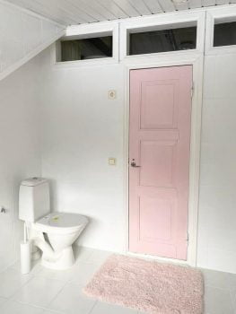 Pinkki ovi ja wc-istuin.