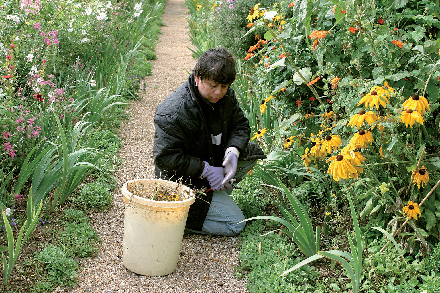 Givernyn puutarhassa on ympäri vuoden myös amerikkalaisia ja meksikolaisia vapaaehtoistyössä.