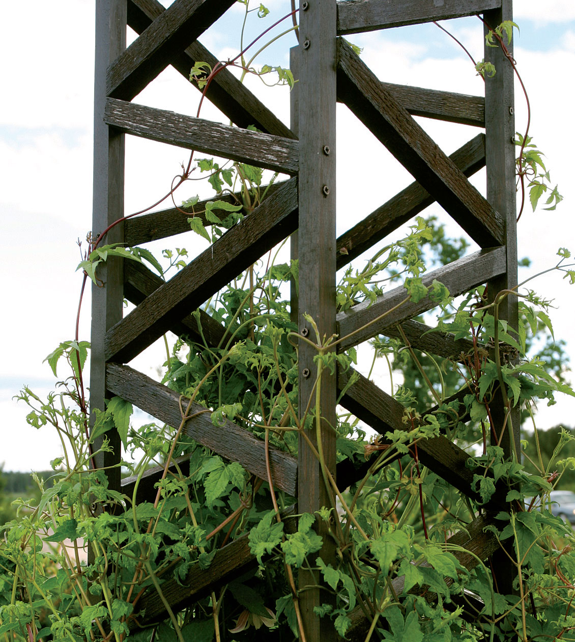 Tukeva, 3,2 m korkea puinen tukikehikko on tehty neljästä tolpparimasta ja jäykistetty siksak-rimoituksella joka sivulta. 