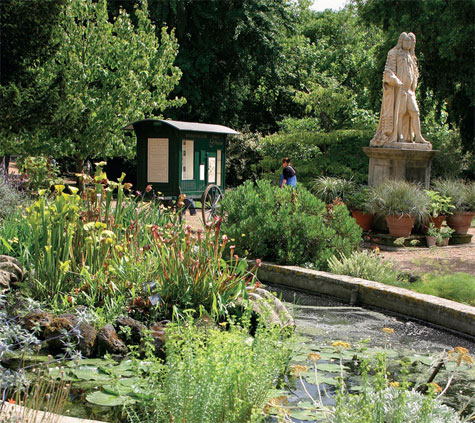 Carl von Linné teki Chelsea Physic Gardeniin useita vierailuja 1730-luvulla.  