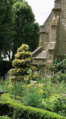 Puutarhamuseon sisäpihalla on 1500–1600-luvuilla eläneiden kuuluisien puutarhureiden, isä ja poika John Tradescantin, hauta.  